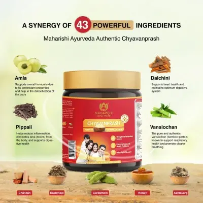 Чаванпраш / Chyawanprash - Махариши Аюрведа- 500 гр